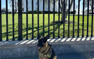 K-9 Sgt. Lanzer visits The White House